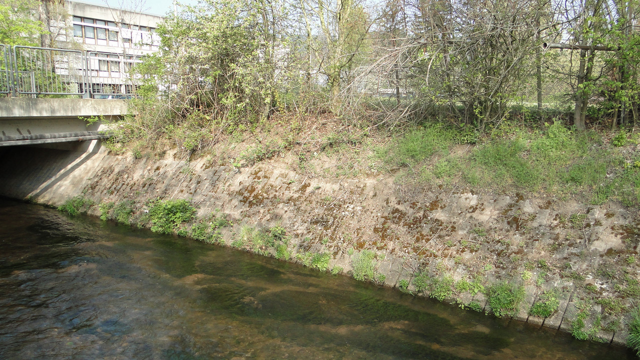 Speyerbach vor der Renaturierung
