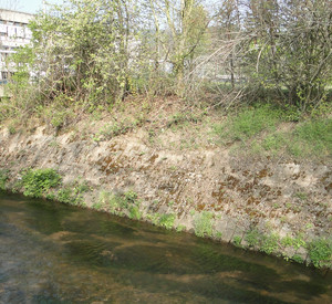 Speyerbach vor der Renaturierung