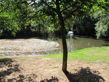 Badegewässer mit Baum im Vordergrund