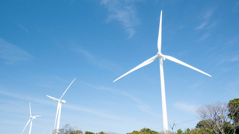 SGD Süd genehmigte im März zehn Anträge zu Windenergieanlagen: Größter genehmigter Windpark liegt in Dirmstein