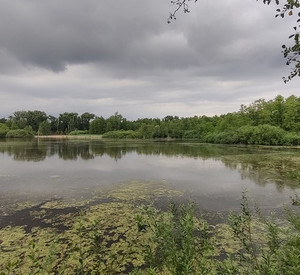 Blick auf ein Feuchtgebiet