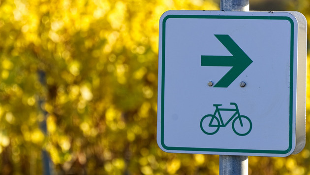 Ab morgen: Rheinradweg am Polder Ingelheim wird bis zum 3. Juli 2025 gesperrt - Umleitungsstrecke ist ausgeschildert