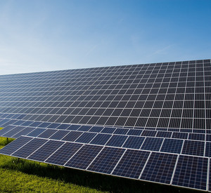 Solarmodule auf einer grünen Wiese