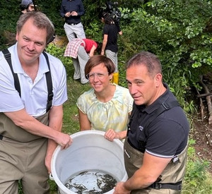 Drei Personen im Wasser mit einem Eimer voller kleiner Lachse zum Aussetzen