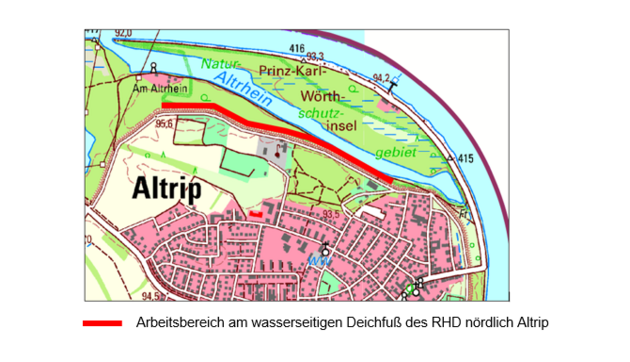 Forstarbeiten am Rheinhauptdeich (RHD) nördlich der Ortslage Altrip beginnen am 06.10.2025