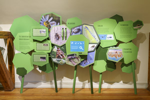 Grüne Informationstafel in einem Ausstellungsraum