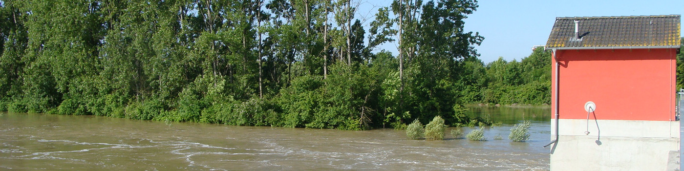 Überschwemmtes Gebiet mit Wald und einer Hütte